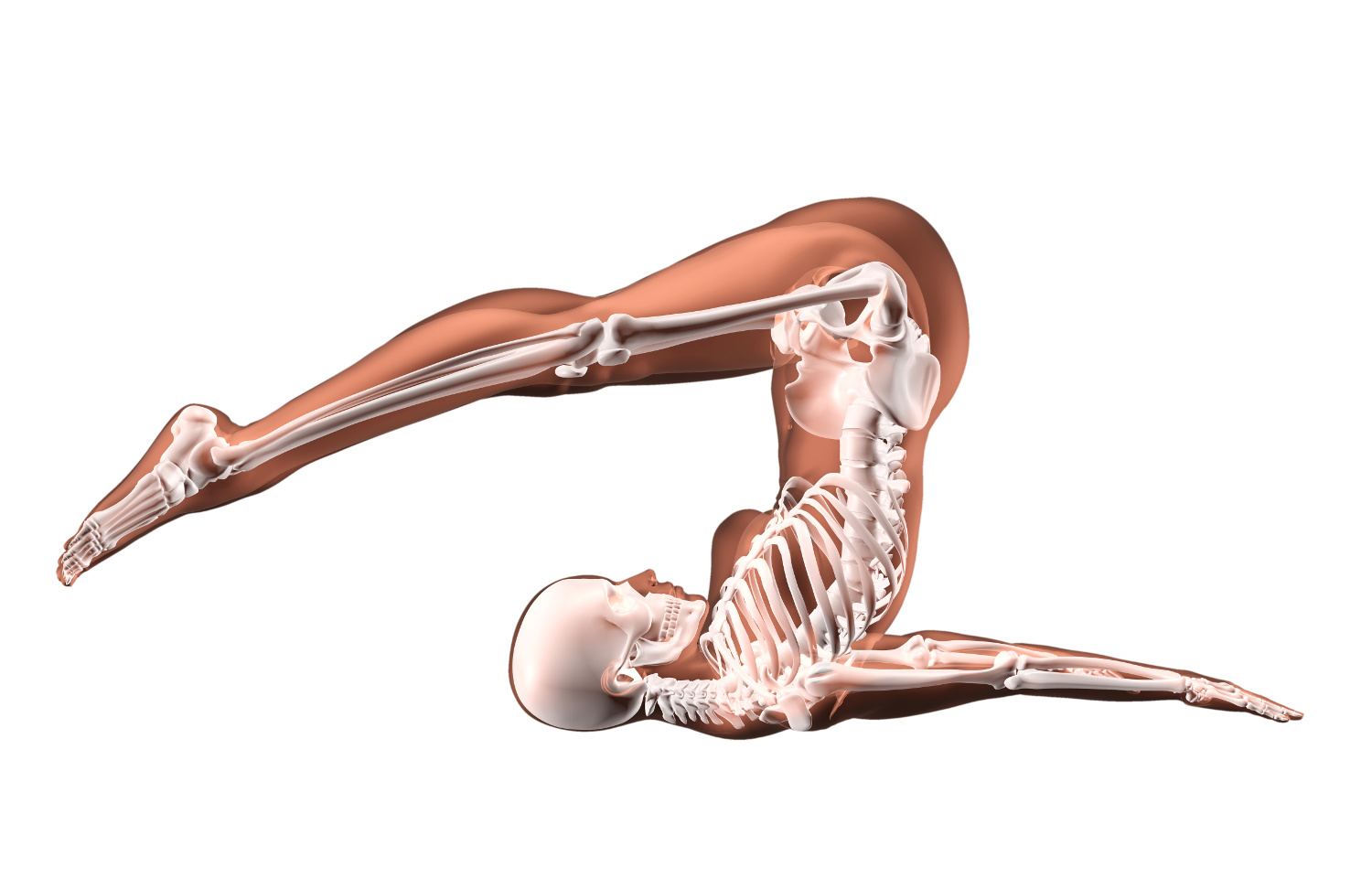 Diagram showing the impact of the "rollover" move on the skeleton